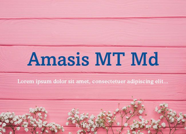 Amasis MT Md example